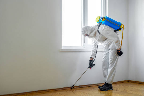 Best Termite Control Services  in Tainter Lake, WI